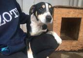 Bélyegkép